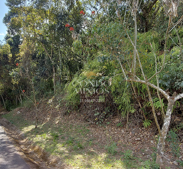 Lote 4.080m² – Arvoredo