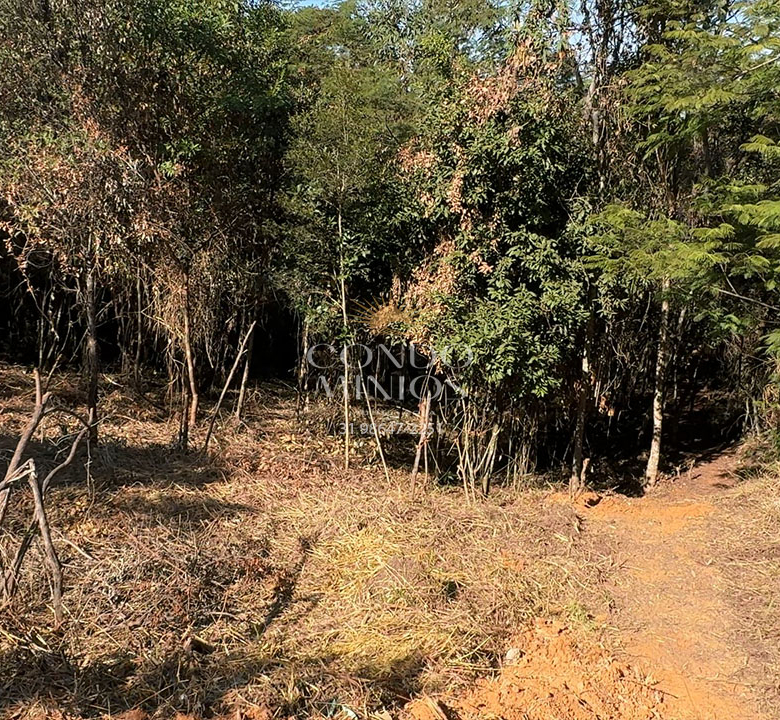 Lote 1.001m² – Canto da Mata
